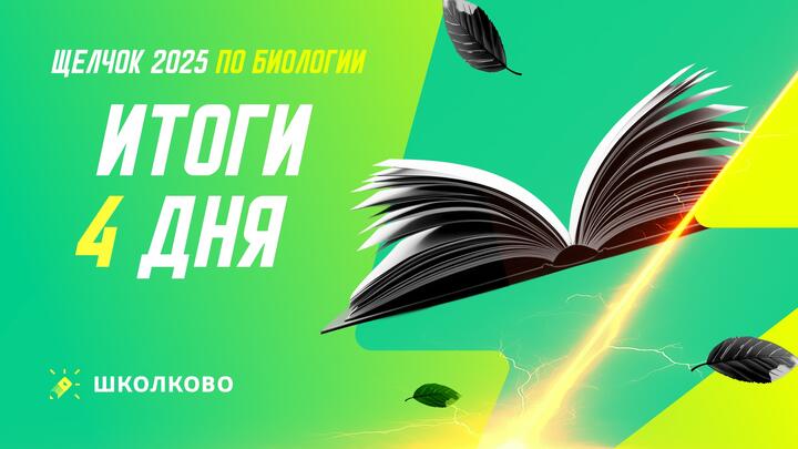 Итоги 4 дня щелчка