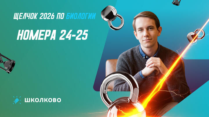 Номера 24-25