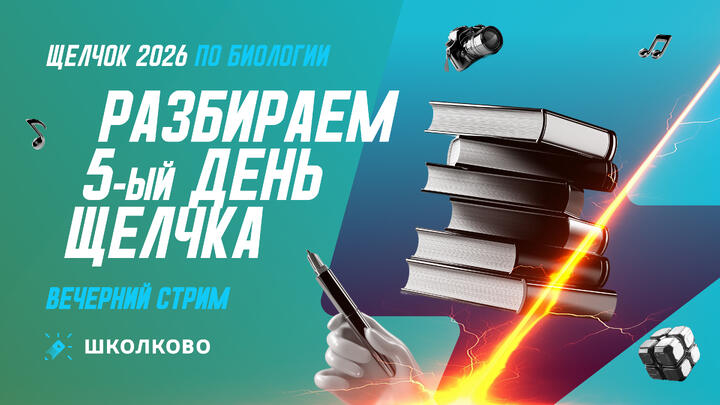 Итоги 5 дня