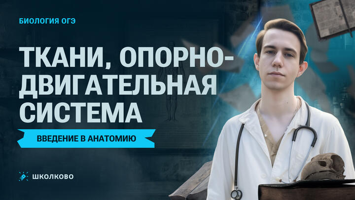 Введение в анатомию: Ткани, опорно-двигательная система