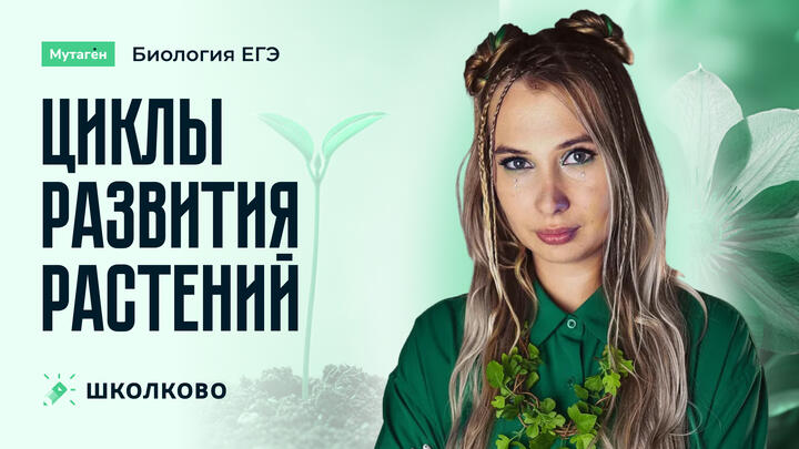 Циклы развития растений  | Подготовка к ЕГЭ - 2026 по Биологии