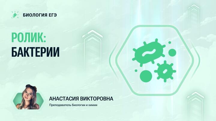 Бактерии. Ролик