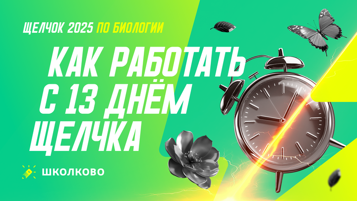 Как работать с 13 и 14 днями щелчка по Биологии 