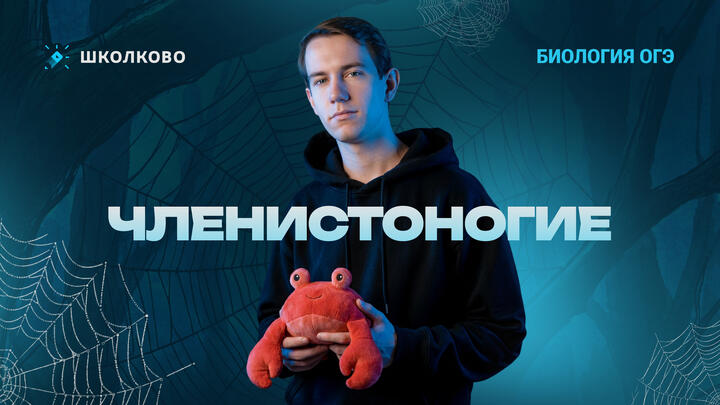 Членистоногие