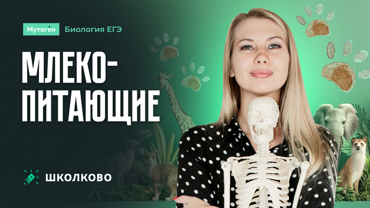 Млекопитающие