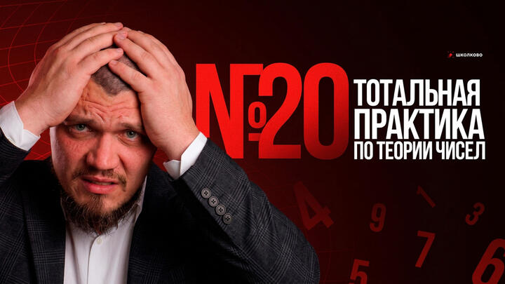 №20 ТОТАЛЬНАЯ ПРАКТИКА ПО ТЕОРИИ ЧИСЕЛ | ЕГЭ 2026