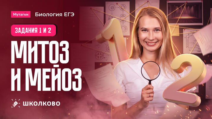 Разбор заданий 1 и 2 части на митоз и мейоз