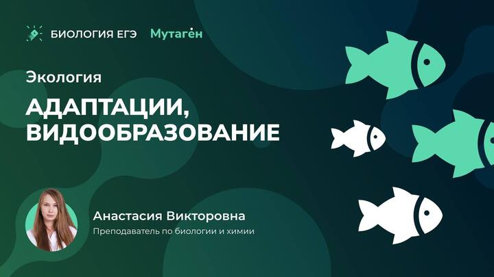 Эволюция. Естественный отбор.  Адаптации. Видообразование. Изоляции.