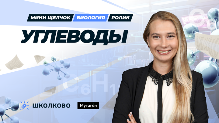 Ролик: углеводы