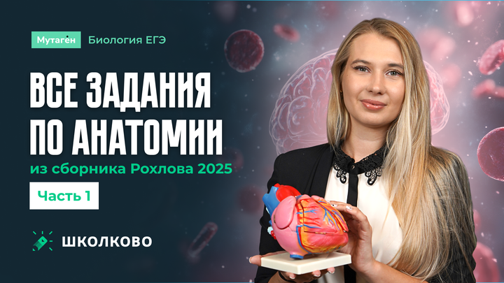 Разбор всех заданий Анатомия 1 часть из сборника Рохлова 2025