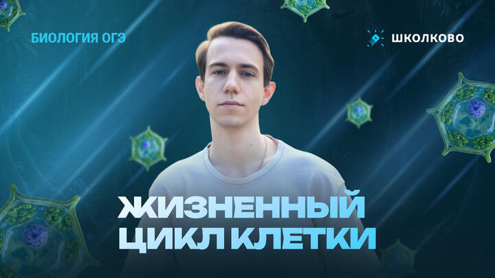 Жизненный цикл клетки | Подготовка к ОГЭ 2026 по Биологии 