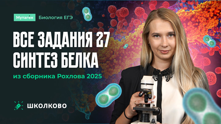 Разбор всех Прототипов 27: Синтез белка из сборника Рохлова - 2025