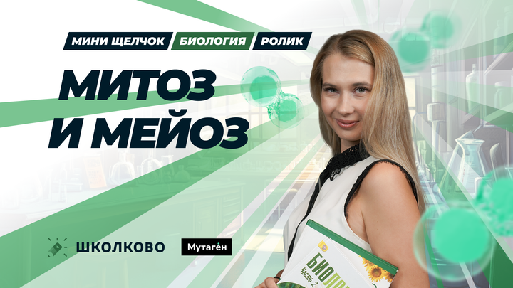 Ролик. Митоз и мейоз