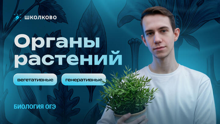 22 апр. 2026 г. 13:00