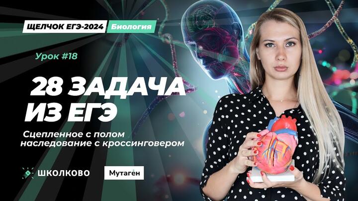 28 задача из ЕГЭ по биологии. Сцепленное с полом с кроссинговером