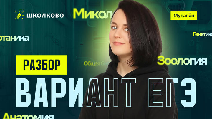 Разбор варианта ЕГЭ