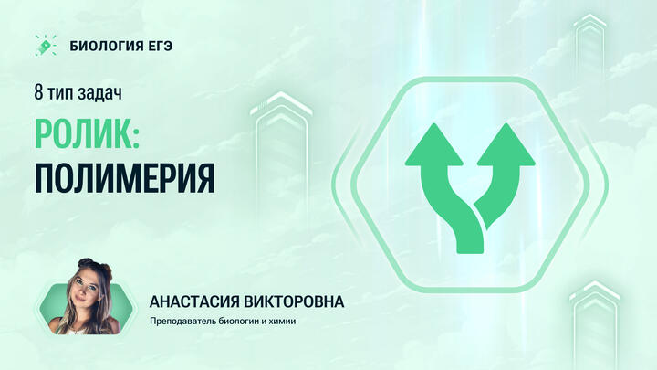 Ролик: Разбор 8 типа задач: Полимерия