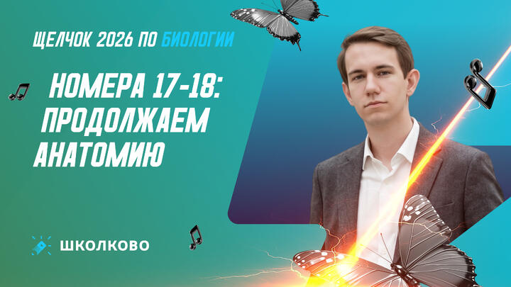 Номера 17-18: продолжаем анатомию