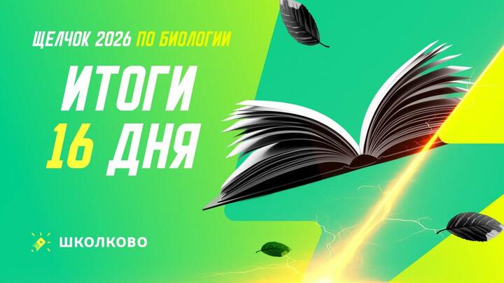 Итоги 16 дня щелчка