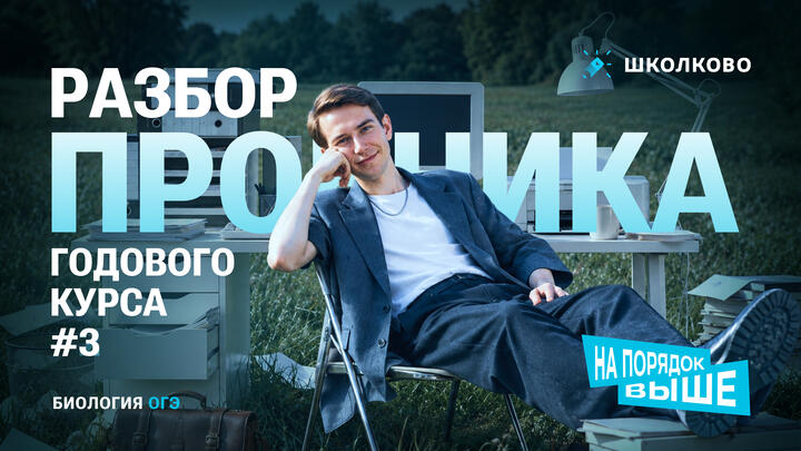 Разбор пробника Годового курса №3