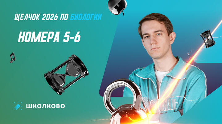 Номера 5-6