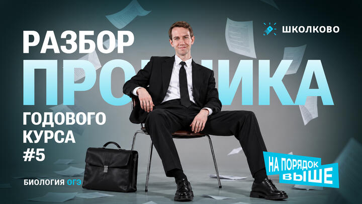Разбор пробника Годового курса №5