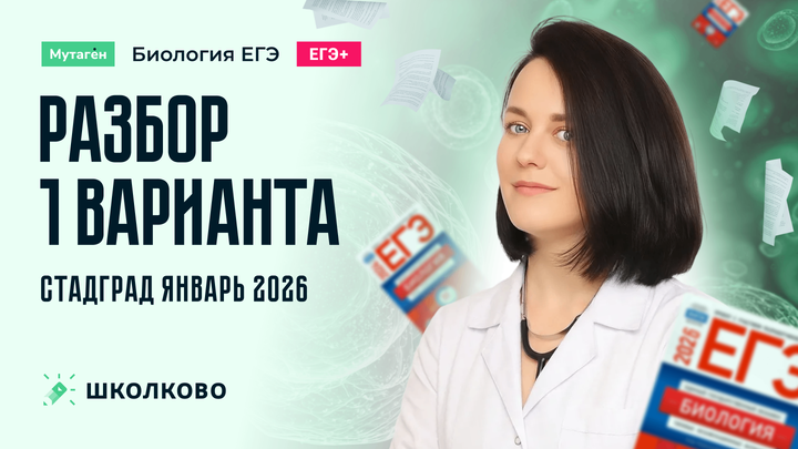 Разбор 1 варианта СтадГрад | Январь 2026