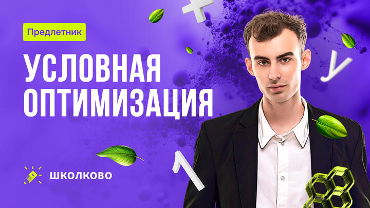 Условная оптимизация. Математика для экономистов