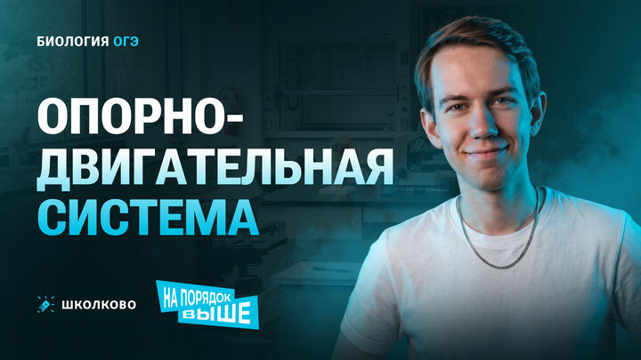 Опорно-двигательная система