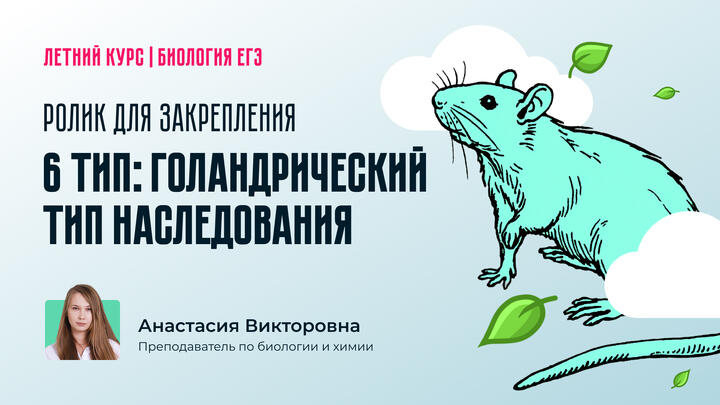 Разбор 6 типа задач: Голандрический тип наследования признака. Ролик