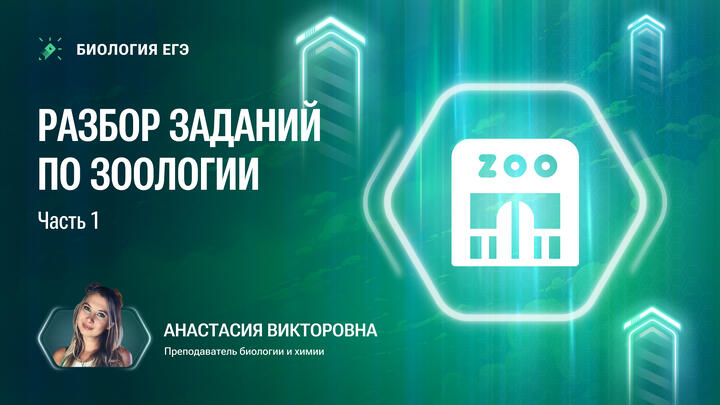 Разбор заданий по зоологии часть 1