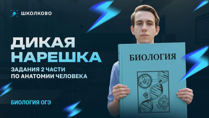 🤯Дикая нарешка🤯 Задания 2 части по анатомии человека | ОГЭ 2026 по биологии