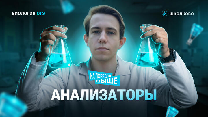 Анализаторы