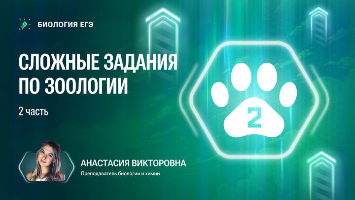 Разбор заданий по зоологии часть 2