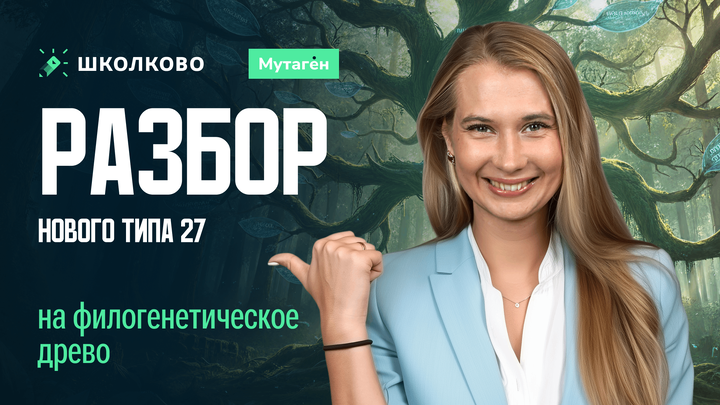 Разбор нового типа 27 на филогенетическое древо 