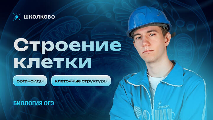Строение клетки (органоиды и клеточные структуры)