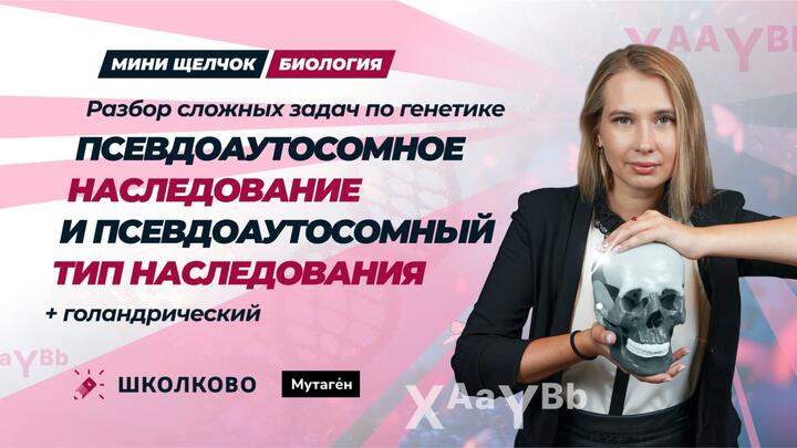 Разбор сложных задач по генетике: Псевдоаутосомное наследование и псевдоаутосомный тип наследования + голандрический . Полимерия