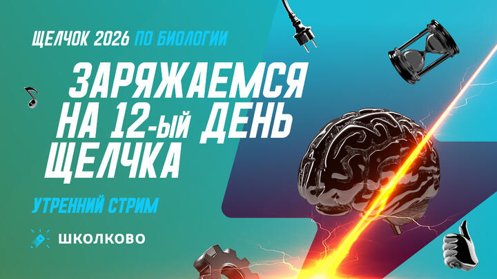 Заряд бодрости на 12 день