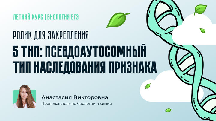 Разбор 5 типа задач: Псевдоаутосомный тип наследования признака. Ролик