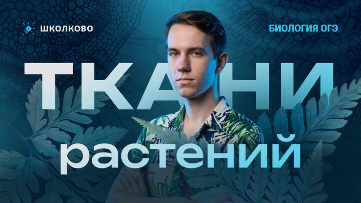 22 апр. 2026 г. 13:00