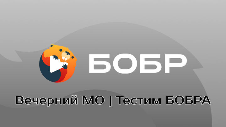 Вечерний МО | Тестим БОБРА