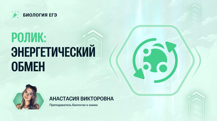 Ролик: энергетический обмен