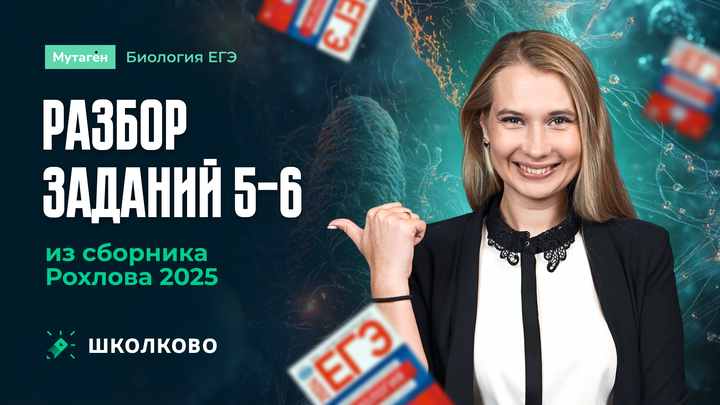 Разбор всех заданий линии 5-6 из сборника Рохлова 2024