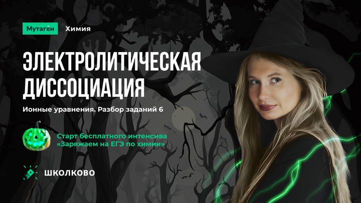 Электролитическая диссоциация.Ионные уравнения. Разбор заданий 6