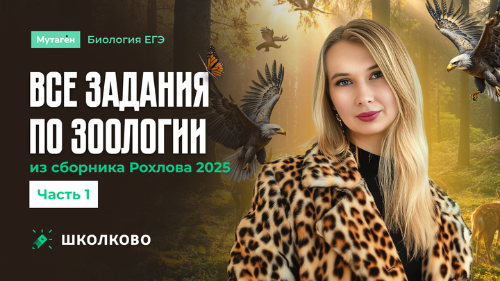 Разбор всех заданий Зоология 1 часть из сборника Рохлова 2025 | ЕГЭ по биологии