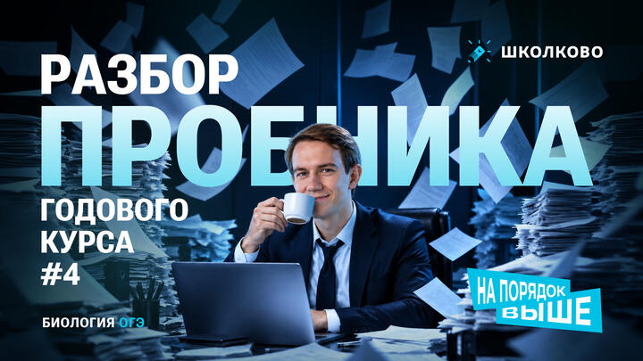 Разбор пробника Годового курса №4