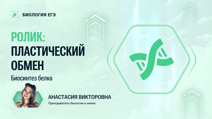 Ролик: Пластический обмен: биосинтез белка