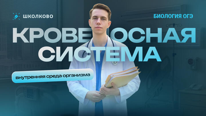 Кровеносная система, внутренняя среда организма