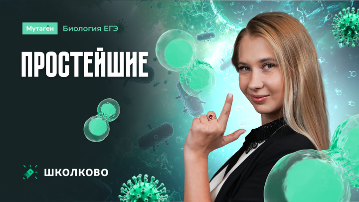 Простейшие