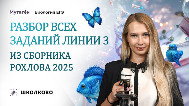 Разбор всех заданий линии 3 из сборника Рохлова 2025